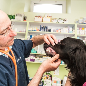 Médecine préventive